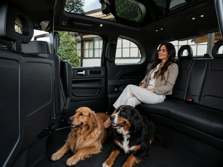 A cabin that seats six, pets included